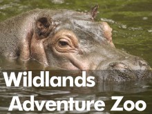 Wildlands Adventure Zoo Wildlands Adventure Zoo